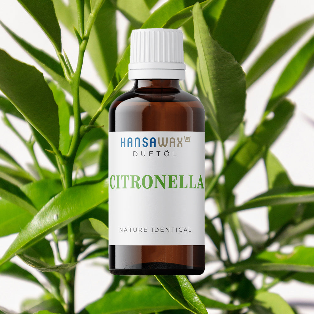 Nature-identical fragrance oil: Citronella