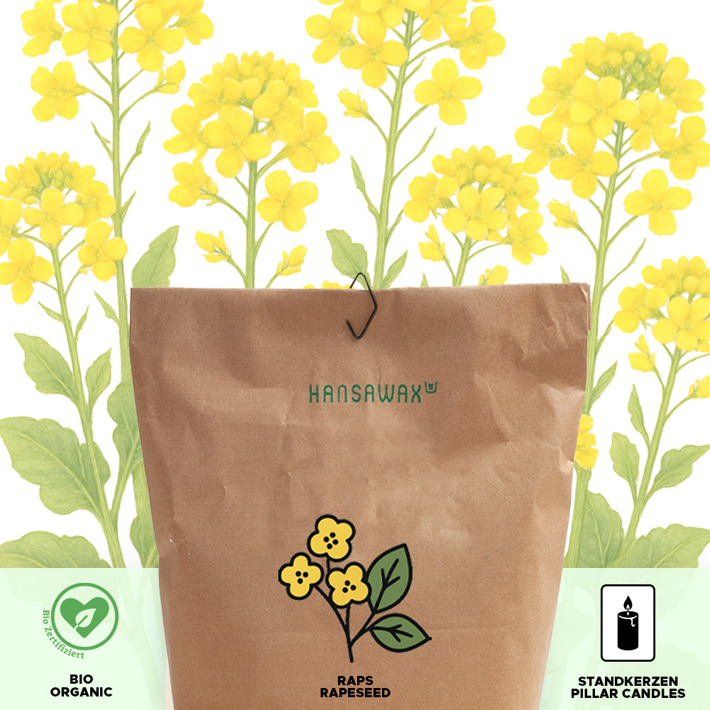 Bio-Rapswachs für Standkerzen 'Keragreen Rapeseed Pillar'