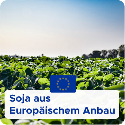 Bio-Sojawachs für Behälterkerzen 'Keragreen Soy Container'