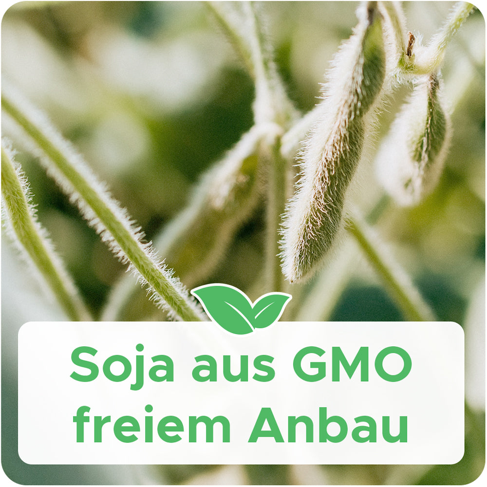 Bio-Sojawachs für Behälterkerzen 'Keragreen Soy Container'