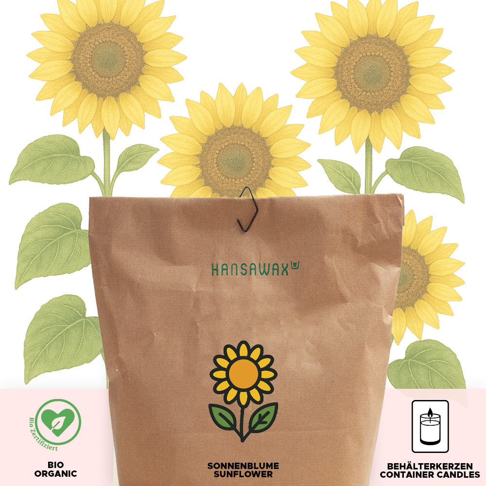 Bio-Sonnenblumenwachs für Behälterkerzen 'Keragreen Sunflower Container'