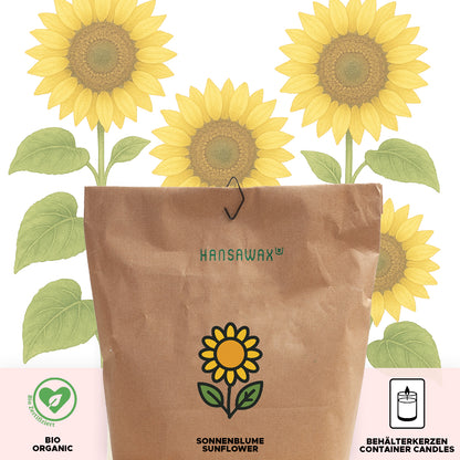 Bio-Sonnenblumenwachs für Behälterkerzen 'Keragreen Sunflower Container'