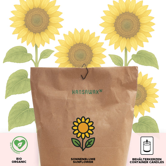 Bio-Sonnenblumenwachs für Behälterkerzen 'Keragreen Sunflower Container'