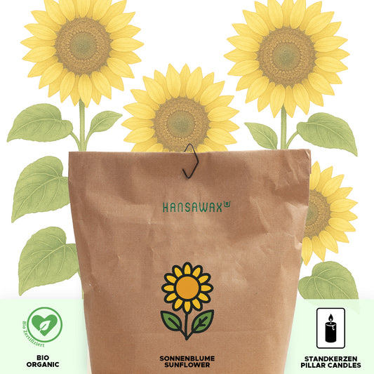 Bio-Sonnenblumenwachs für Standkerzen 'Keragreen Sunflower Pillar'