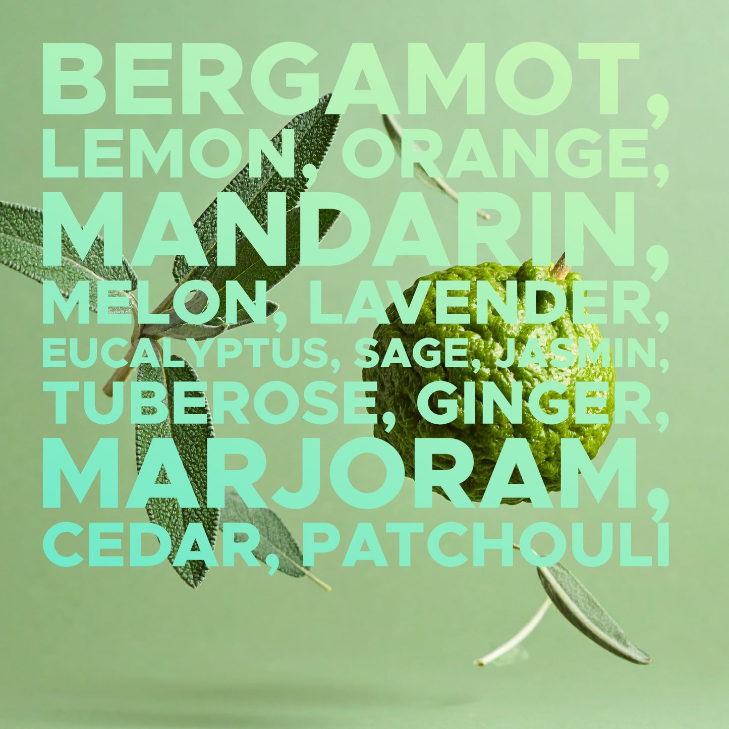 Earth First Fragrance Oil: Wild Sage &amp; Bergamot